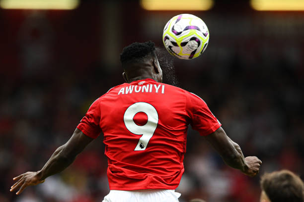 也是中国网 也是中国网